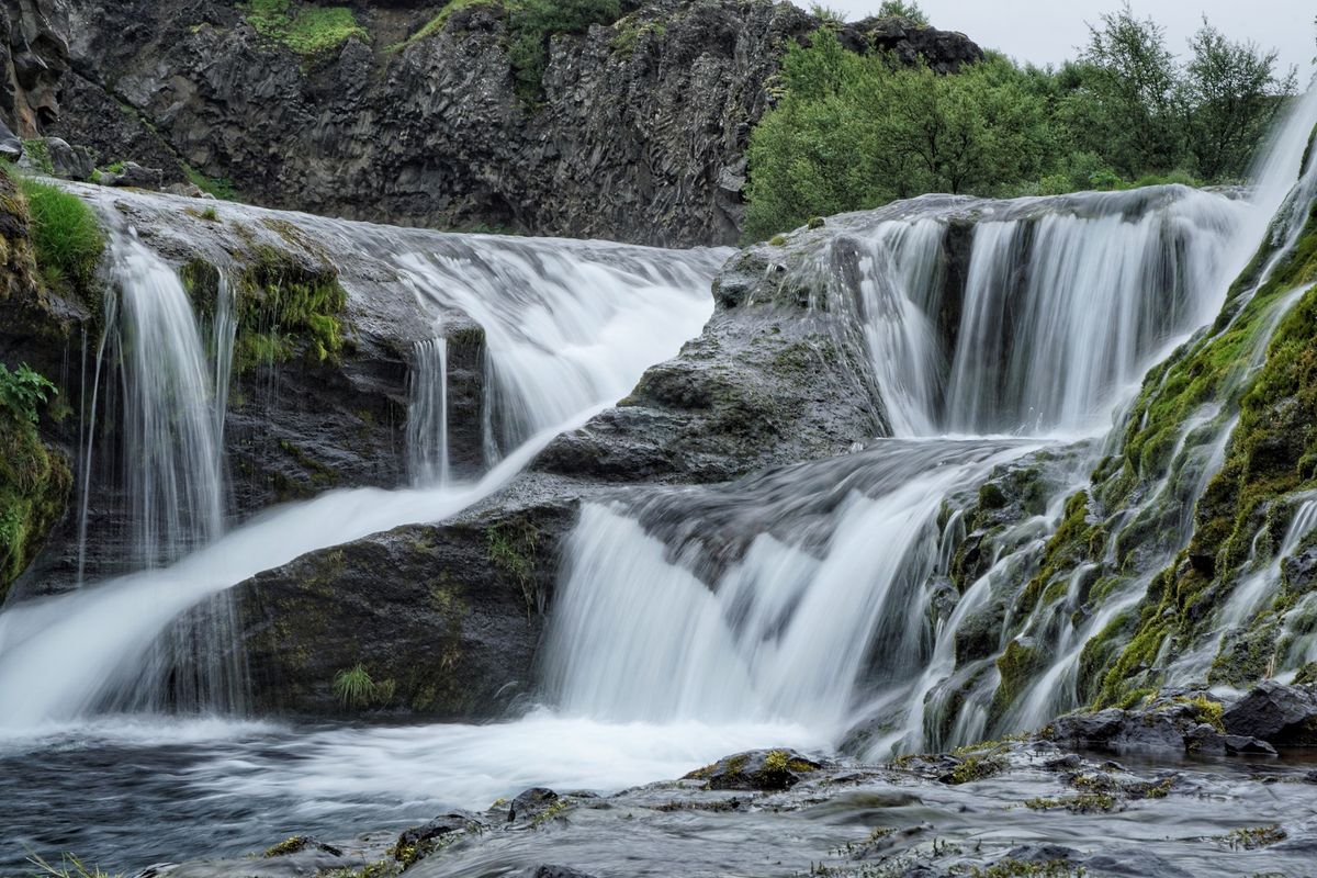 Freelancer to Entrepreneur: The Forest, The Mountains, and the Water