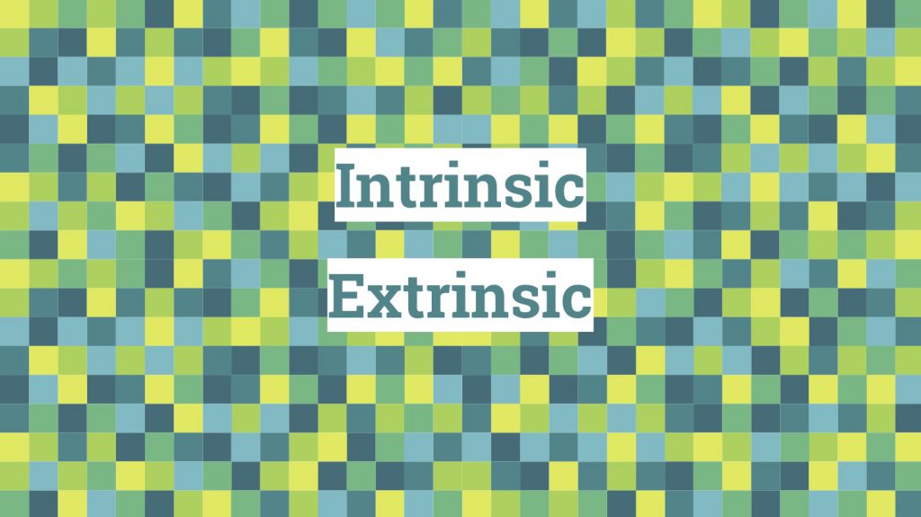 Intrinsic / Extrinsic